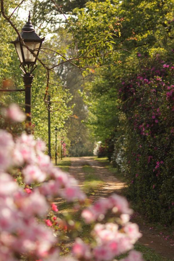 The Knoll Historic Guest Farm Villa Hilton Luaran gambar