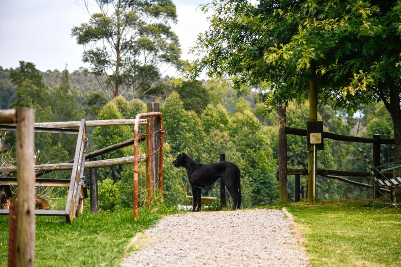 The Knoll Historic Guest Farm Villa Hilton Luaran gambar