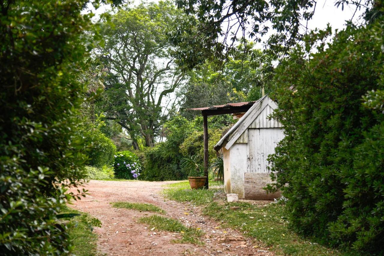The Knoll Historic Guest Farm Villa Hilton Luaran gambar